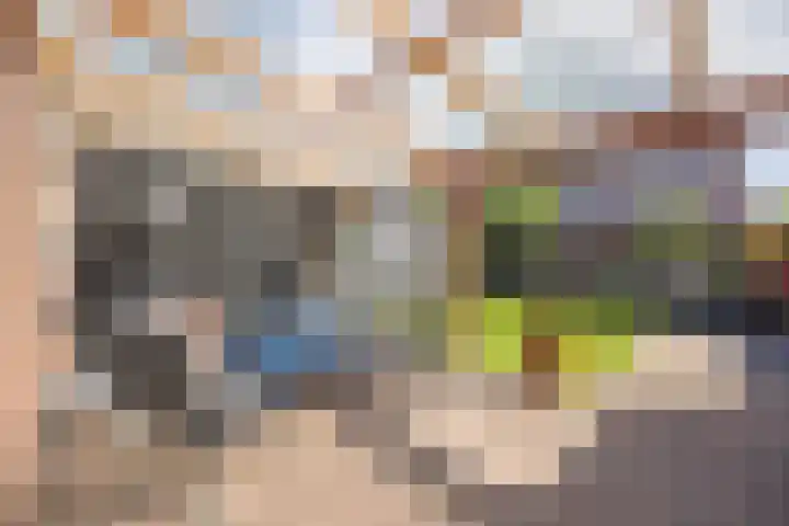 De Fazant 10 Vroomshoop thumbnail 31