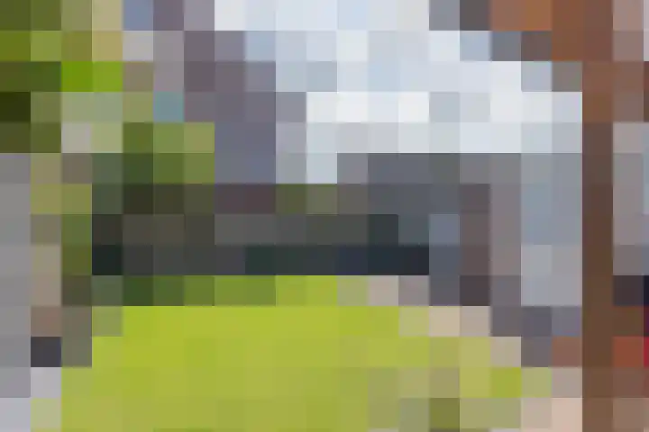 De Fazant 10 Vroomshoop thumbnail 32