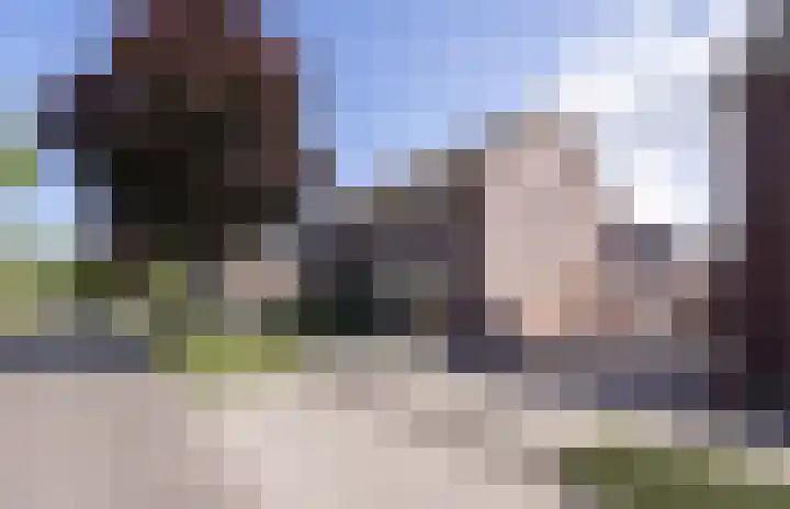 De Fazant 10 Vroomshoop thumbnail 33