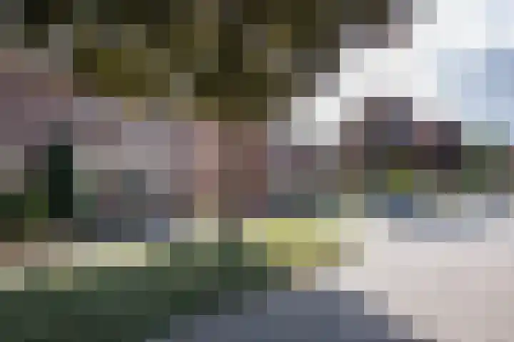 De Fazant 10 Vroomshoop thumbnail 34