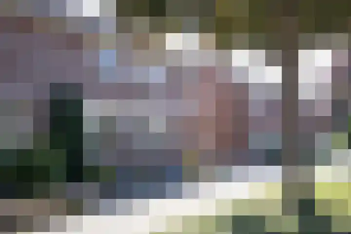 De Fazant 10 Vroomshoop thumbnail 4