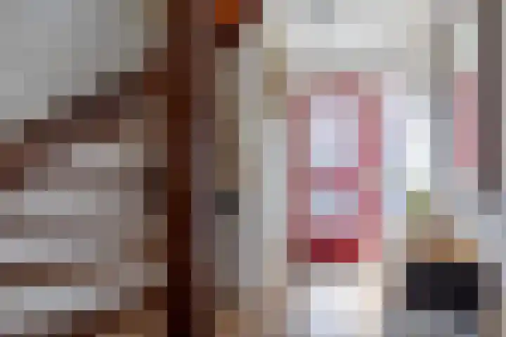 De Fazant 10 Vroomshoop thumbnail 6