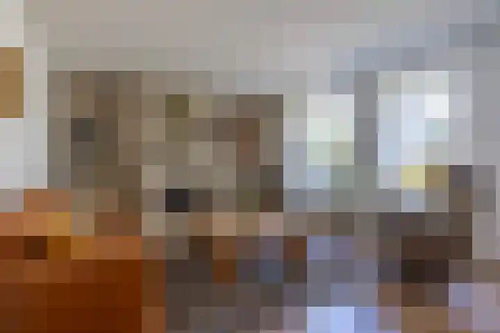 De Fazant 10 Vroomshoop thumbnail 8