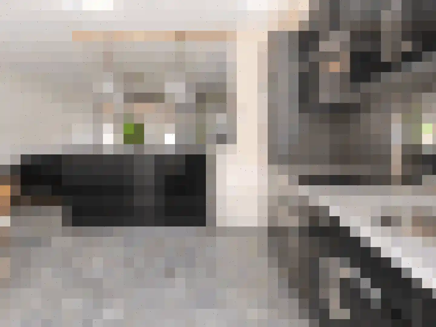 De Fazant 101 Almelo thumbnail 11
