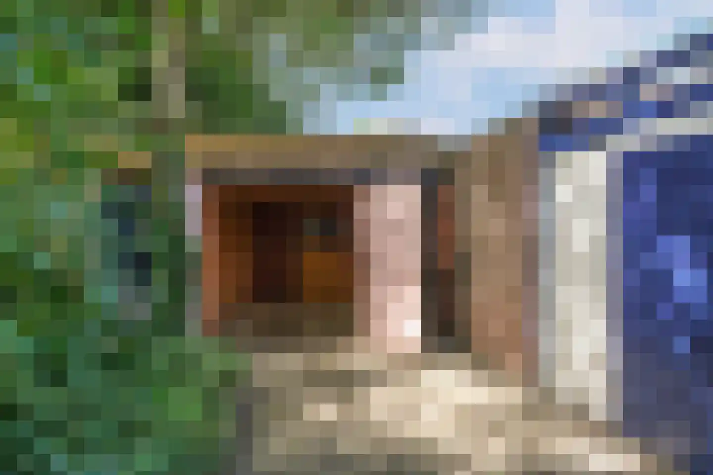 De Fazant 101 Almelo thumbnail 24