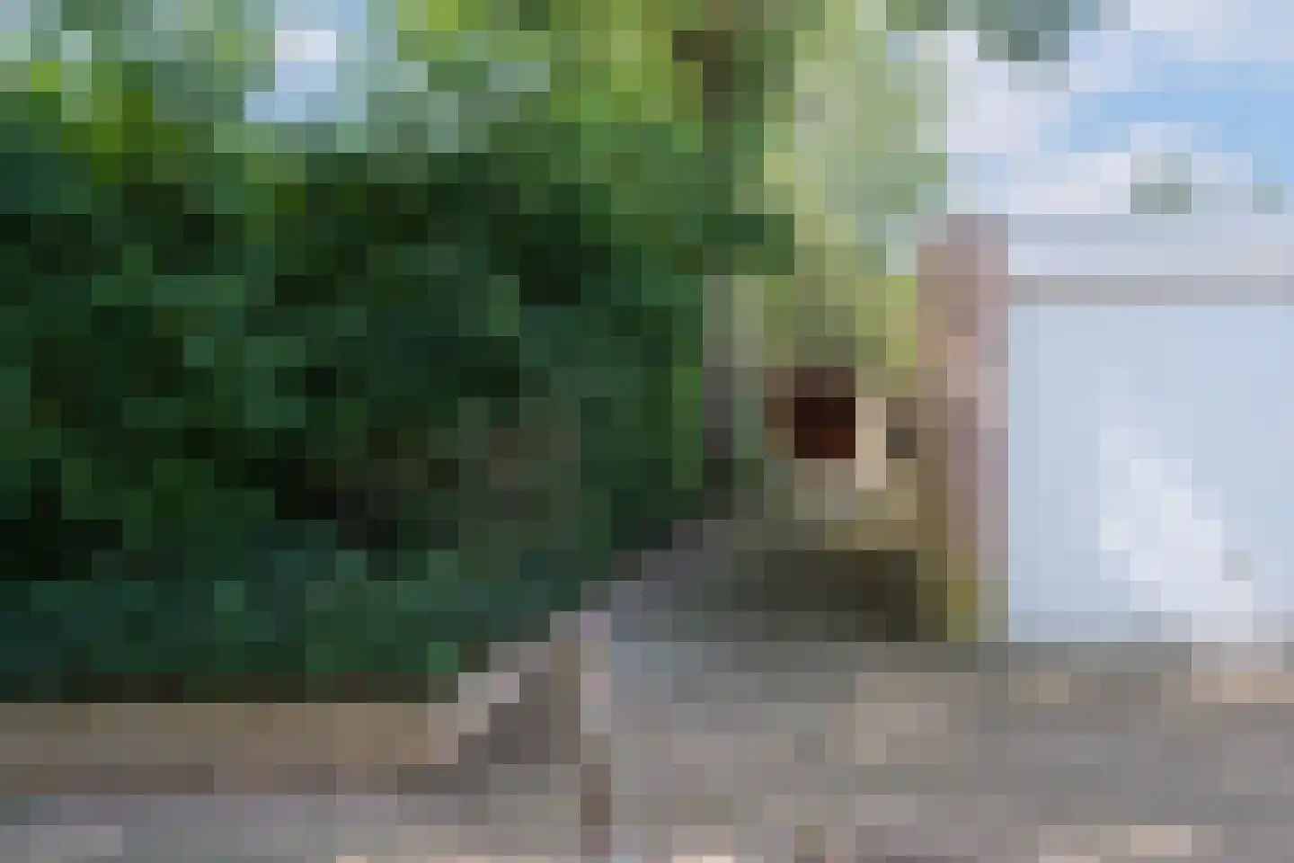 De Fazant 101 Almelo thumbnail 25