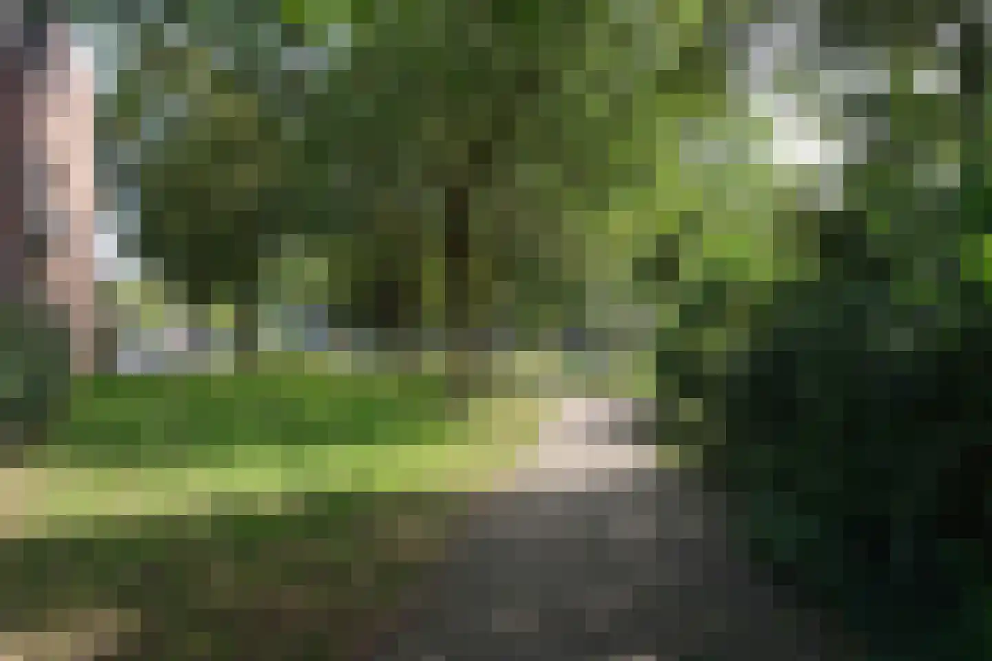 De Fazant 101 Almelo thumbnail 26
