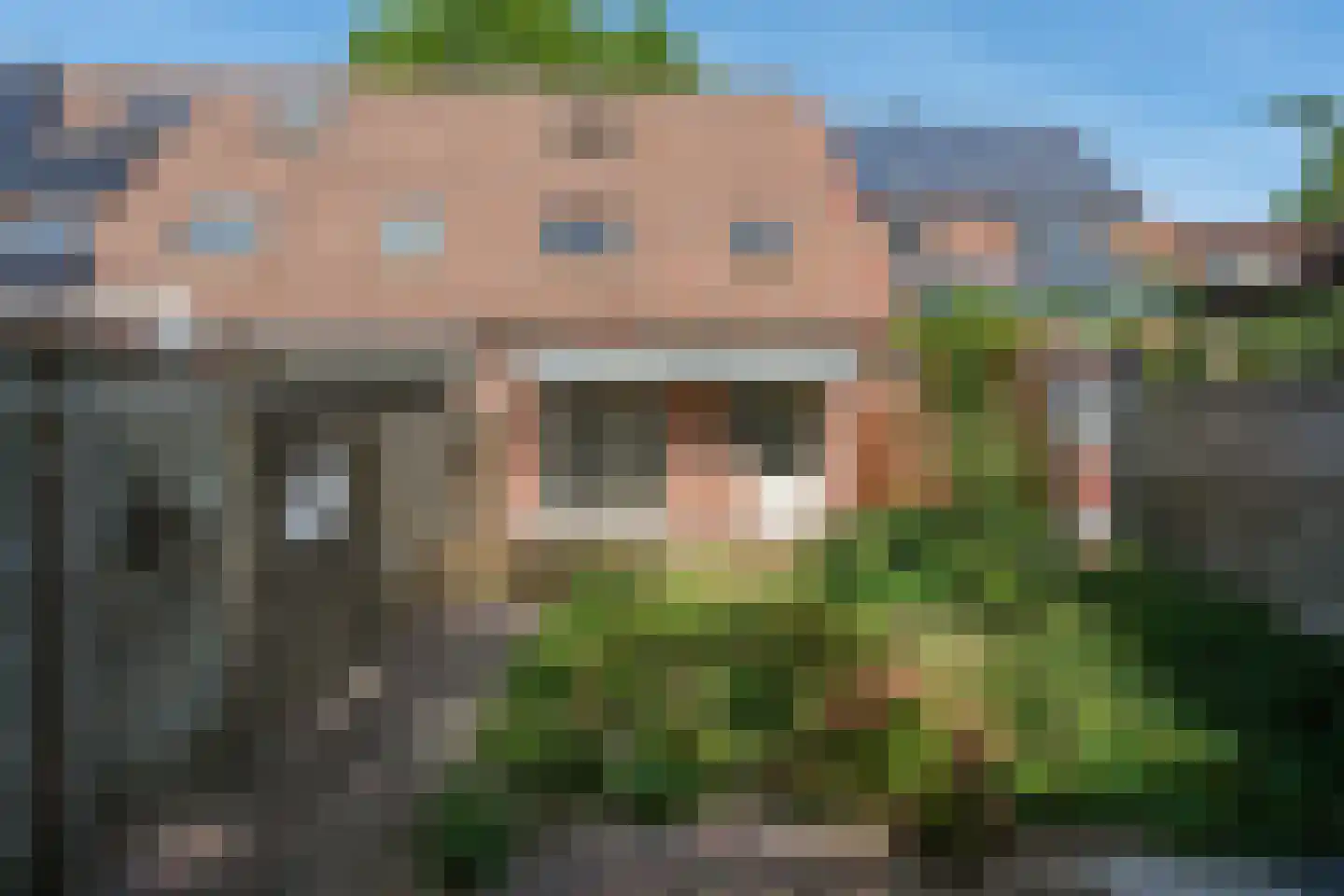 De Fazant 101 Almelo foto 3