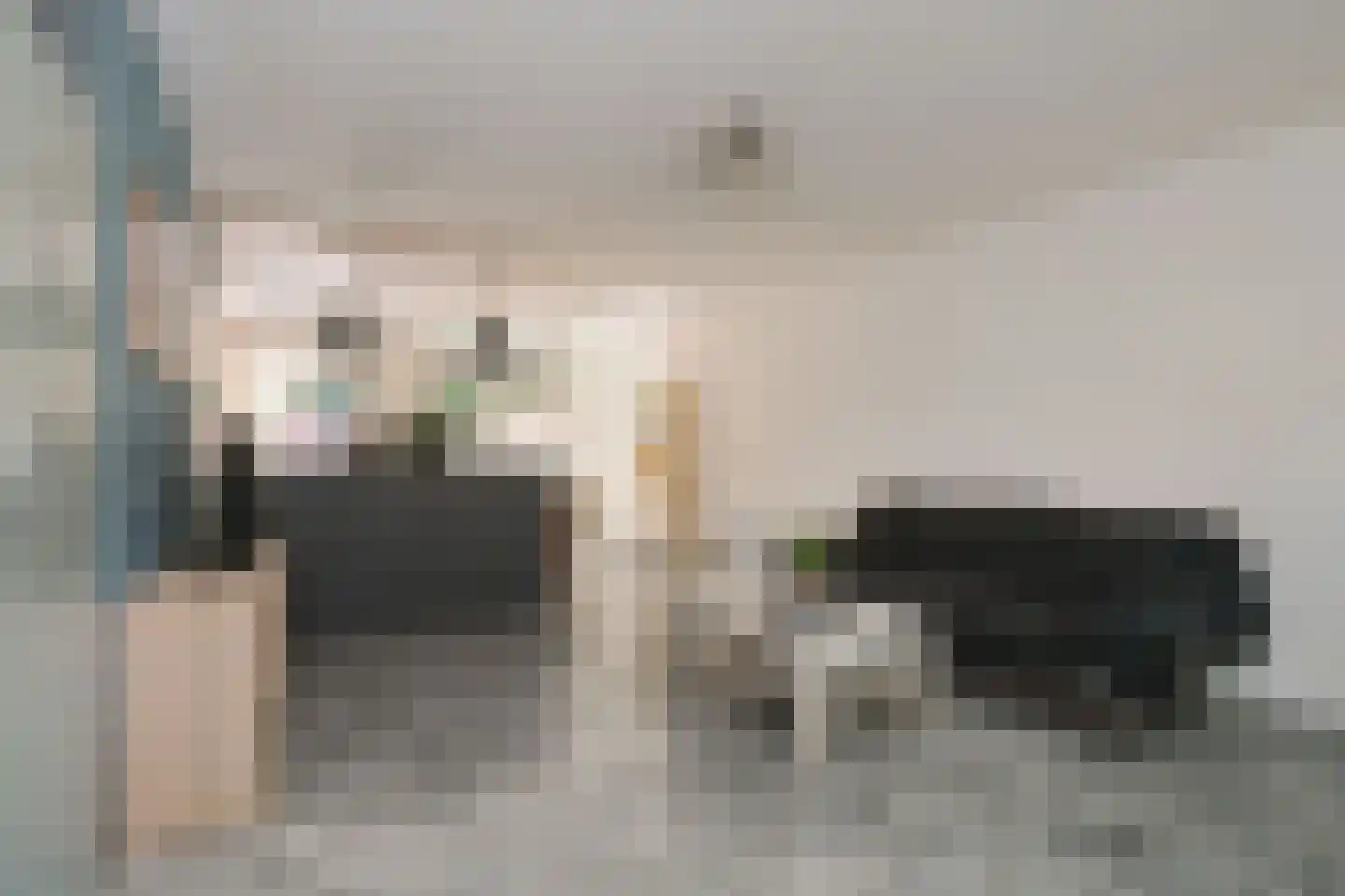De Fazant 101 Almelo thumbnail 5
