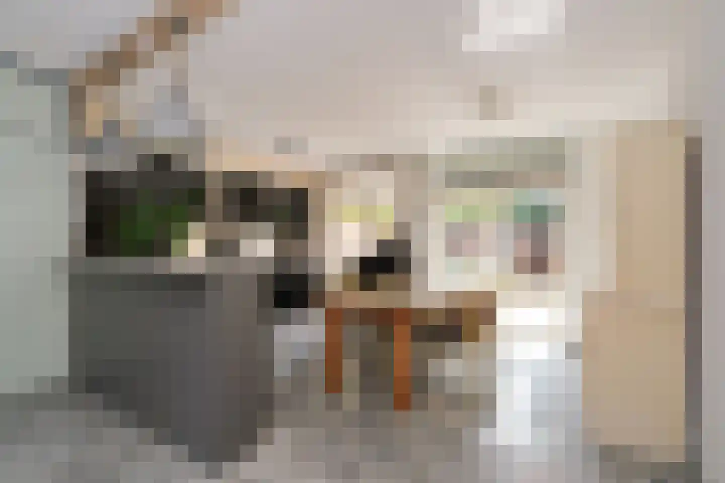De Fazant 101 Almelo thumbnail 8