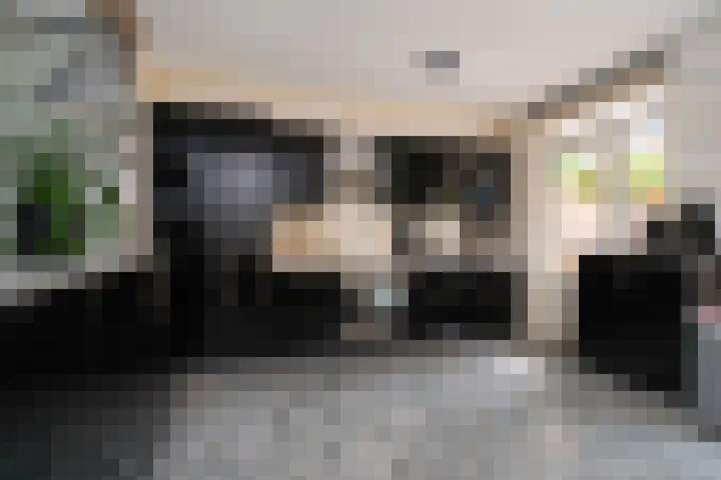 De Fazant 101 Almelo thumbnail 9
