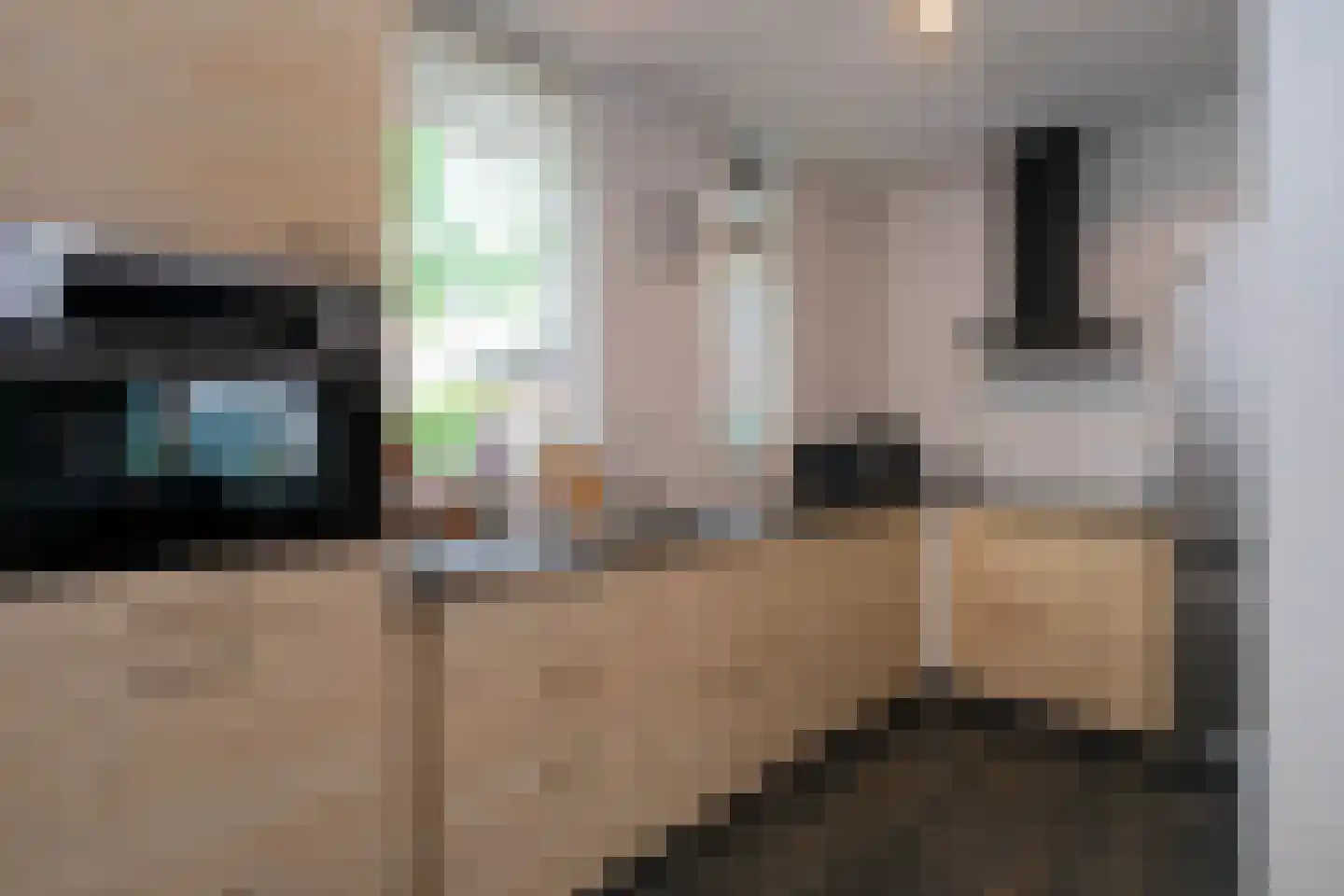 De Fazant 117 Almelo thumbnail 7