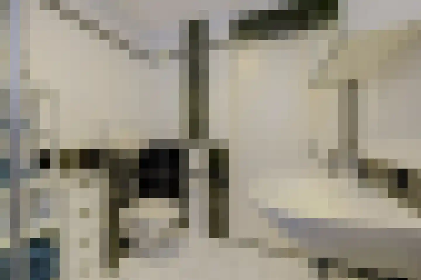 De Fazant 119 Almelo thumbnail 19
