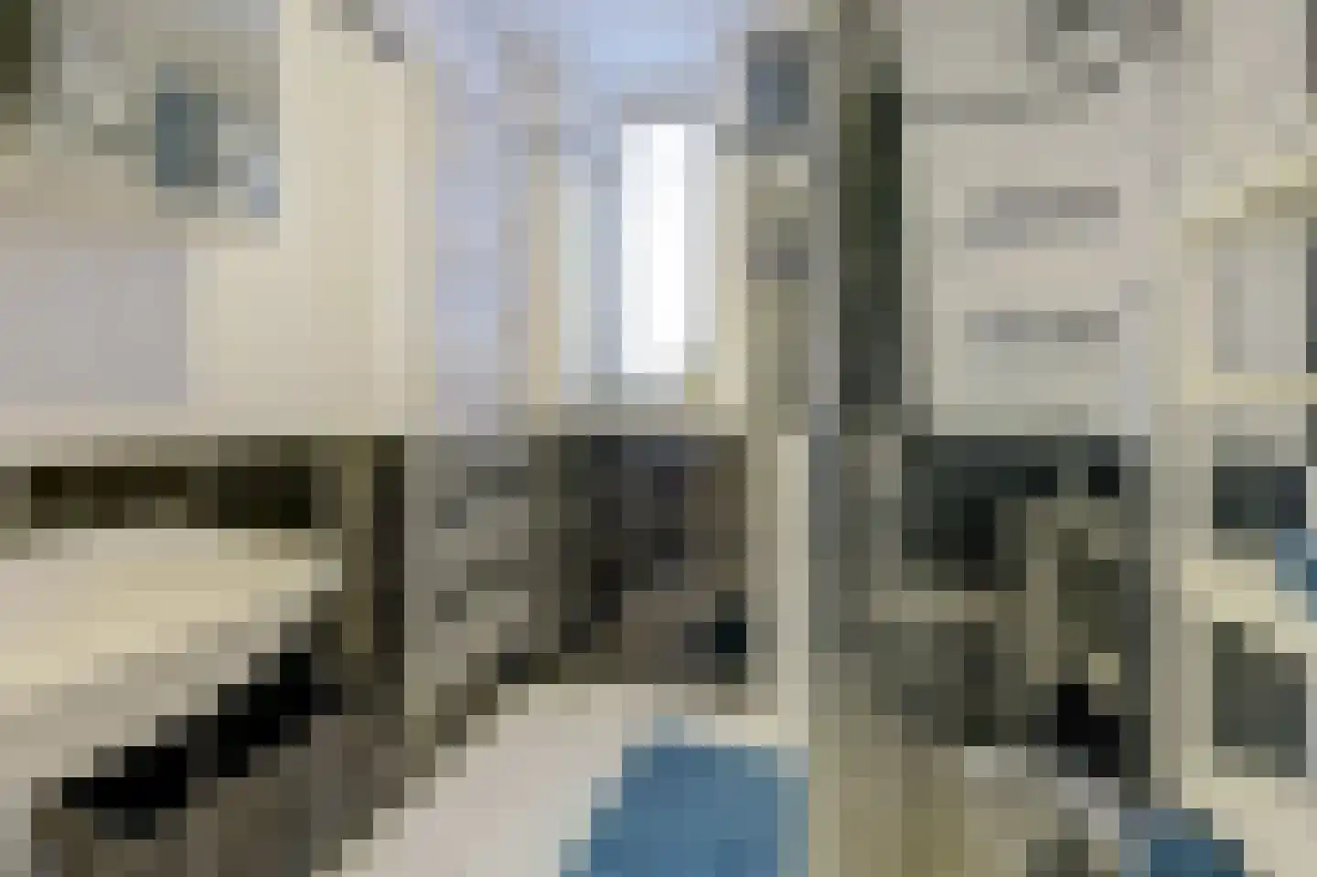 De Fazant 119 Almelo thumbnail 20