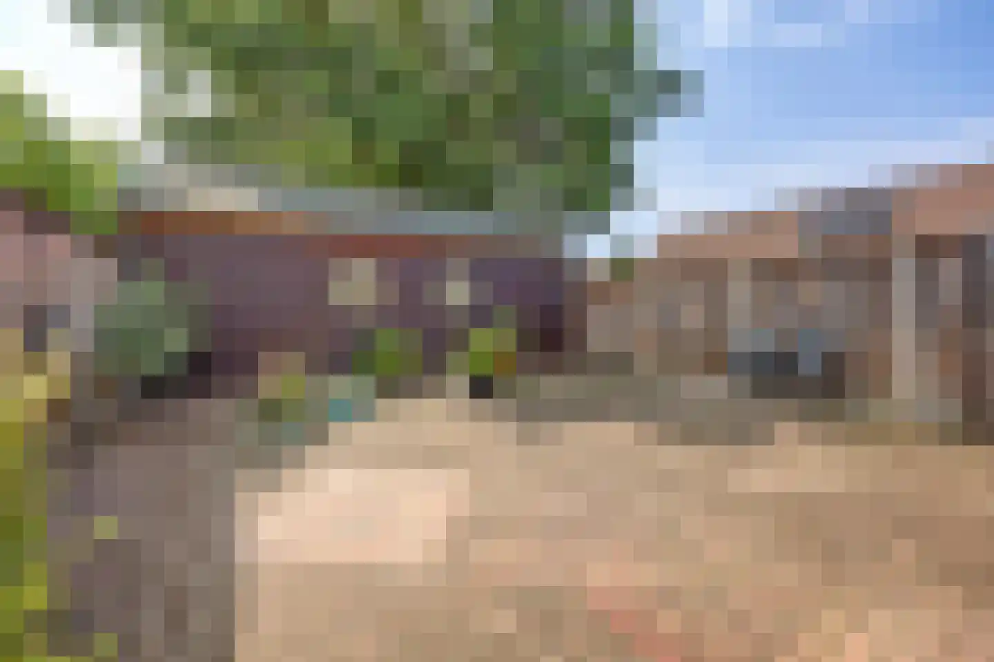 De Fazant 119 Almelo thumbnail 28