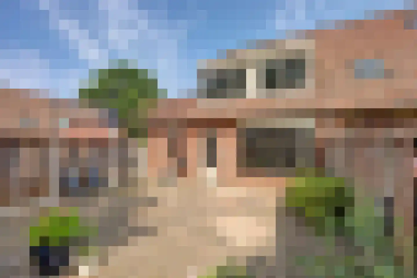 De Fazant 119 Almelo thumbnail 30
