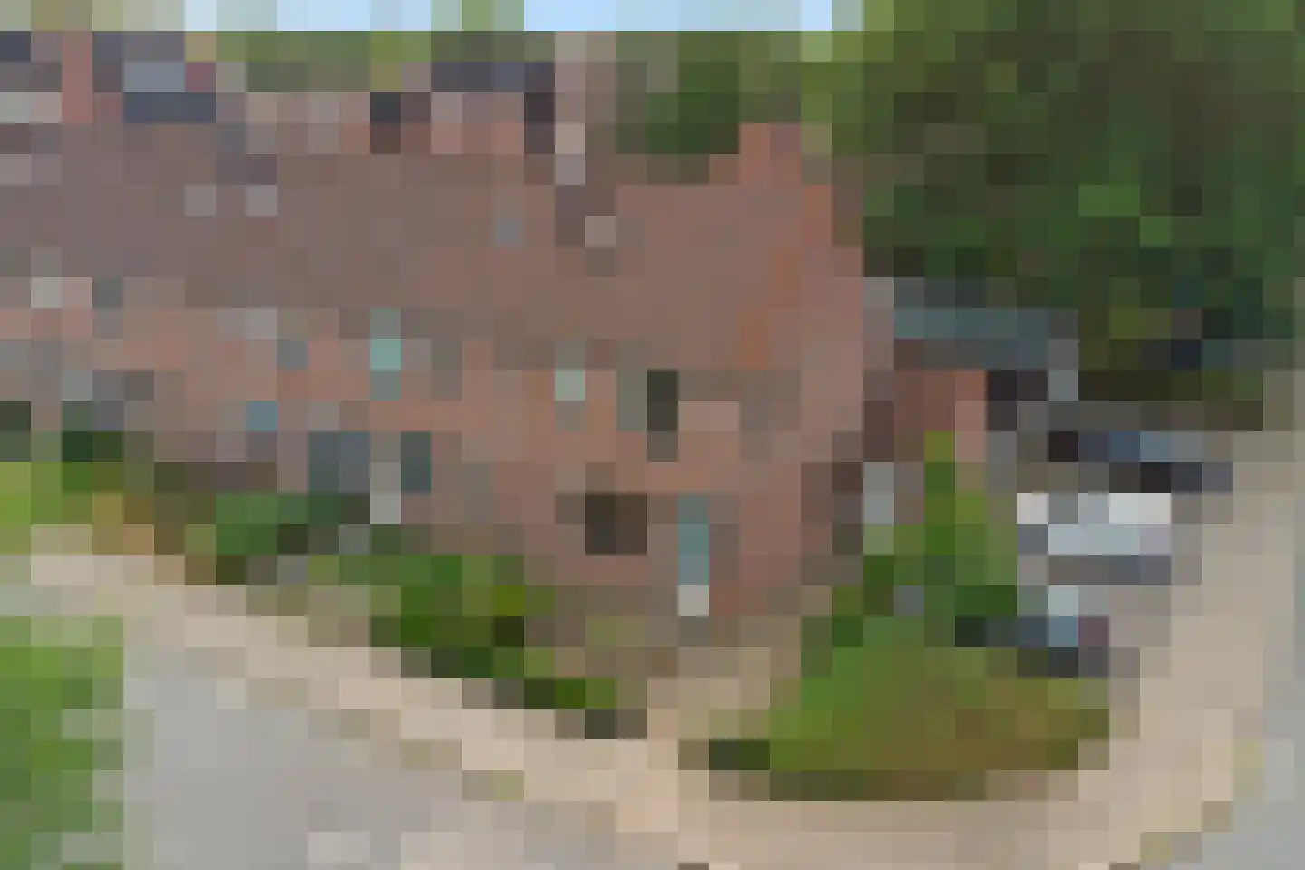 De Fazant 119 Almelo thumbnail 36