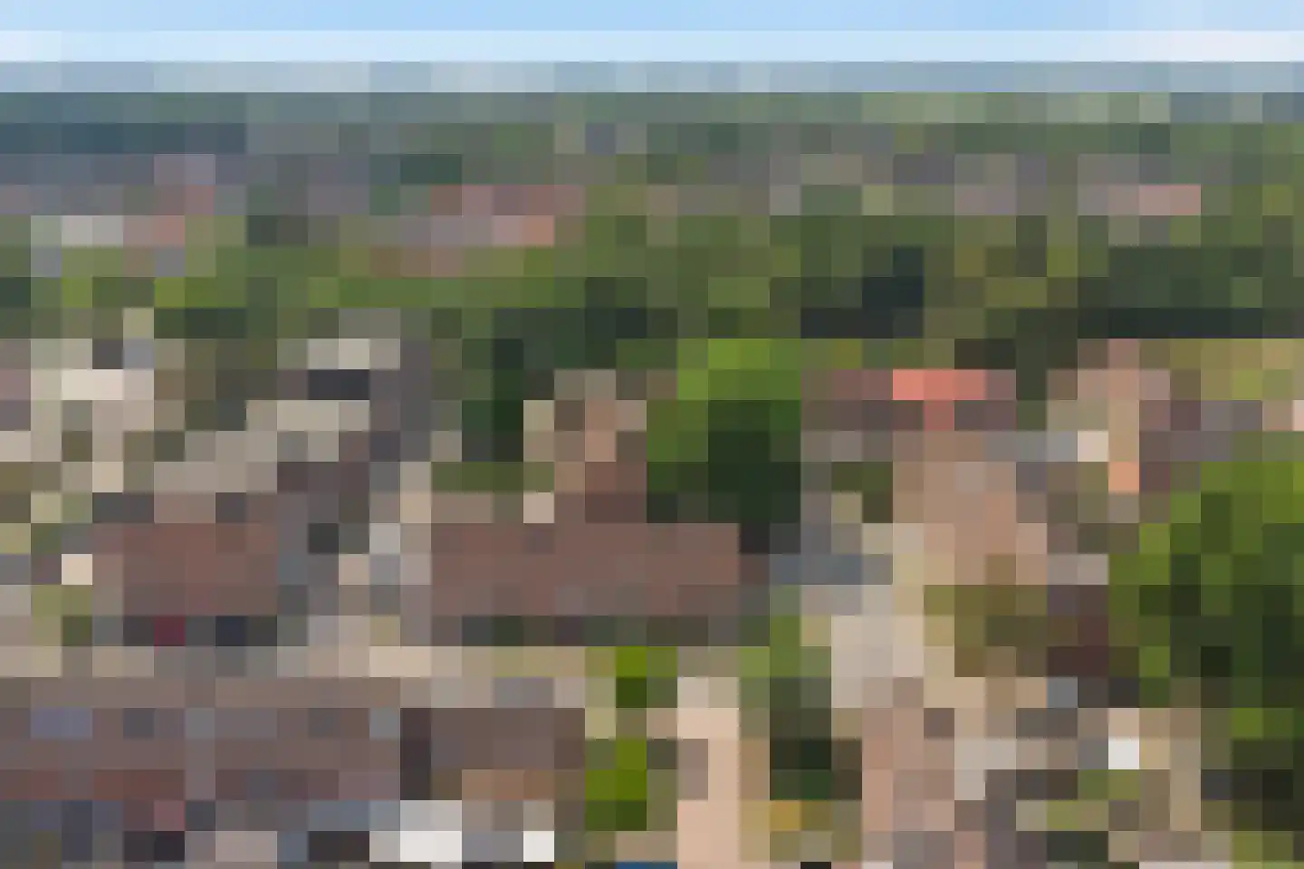 De Fazant 119 Almelo thumbnail 37