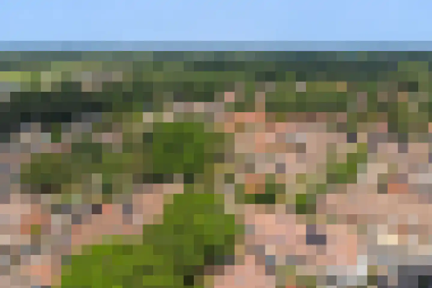 De Fazant 119 Almelo thumbnail 38
