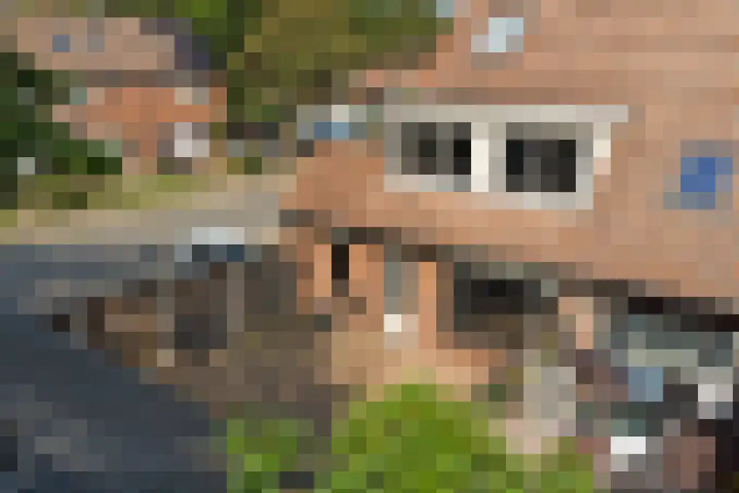 De Fazant 119 Almelo thumbnail 40