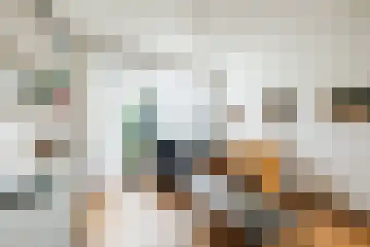 De Fazant 119 Hoogeveen thumbnail 11