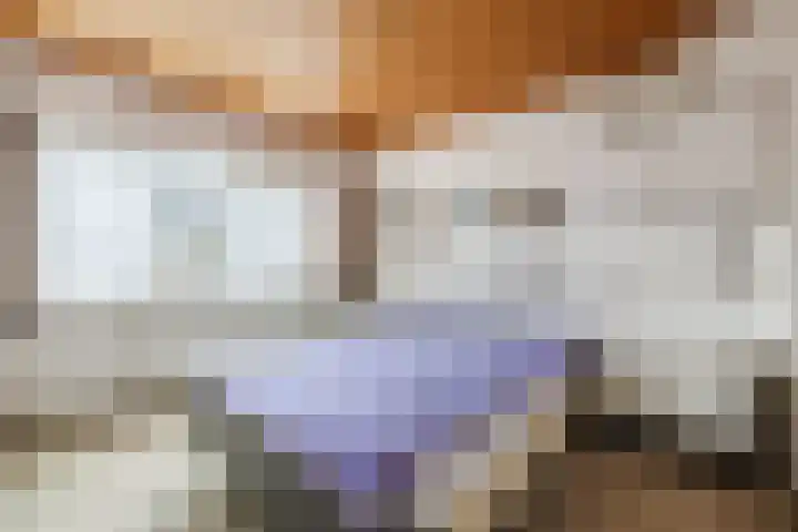 De Fazant 119 Hoogeveen thumbnail 23