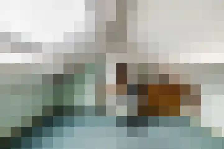 De Fazant 119 Hoogeveen thumbnail 34