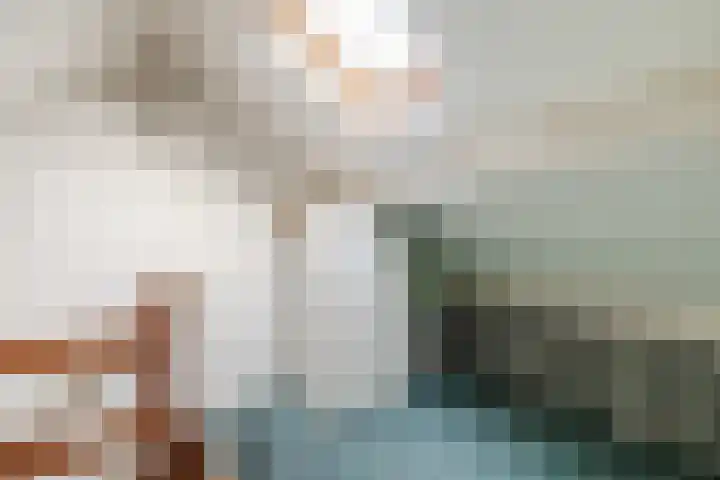 De Fazant 119 Hoogeveen thumbnail 36