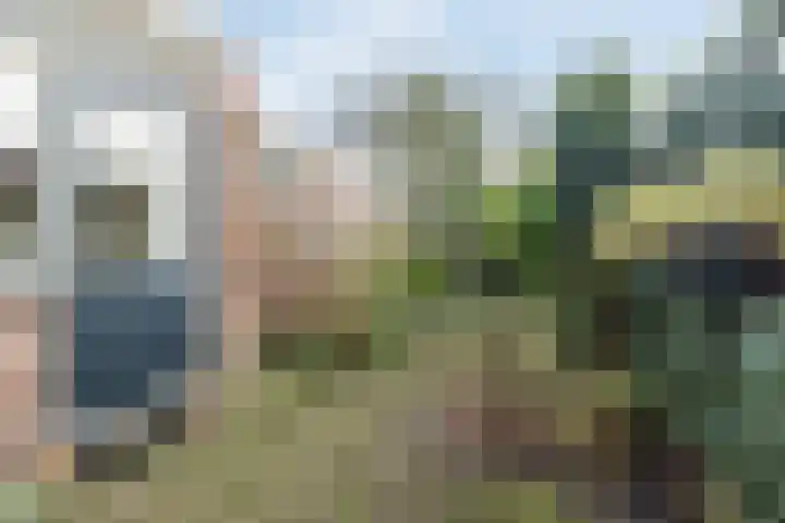 De Fazant 119 Hoogeveen thumbnail 37