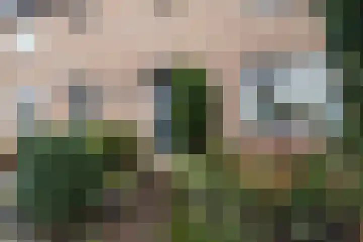 De Fazant 119 Hoogeveen thumbnail 4