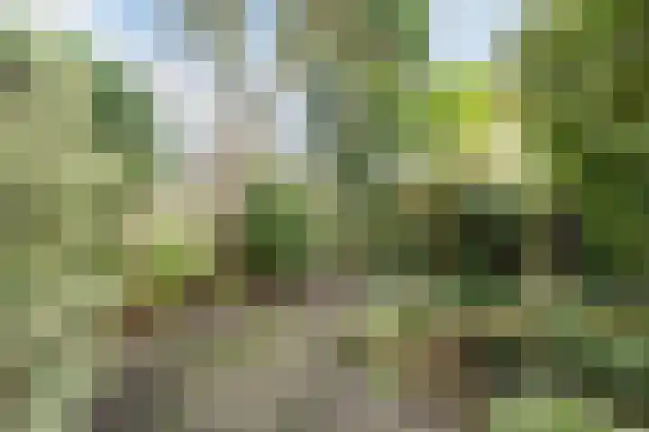 De Fazant 119 Hoogeveen thumbnail 41