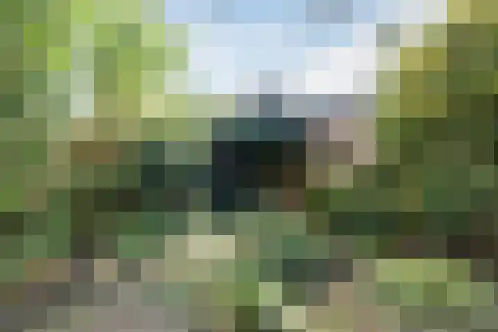 De Fazant 119 Hoogeveen thumbnail 42