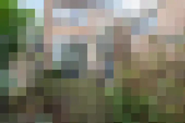 De Fazant 119 Hoogeveen thumbnail 43