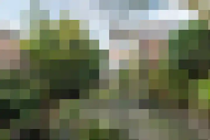 De Fazant 119 Hoogeveen thumbnail 44