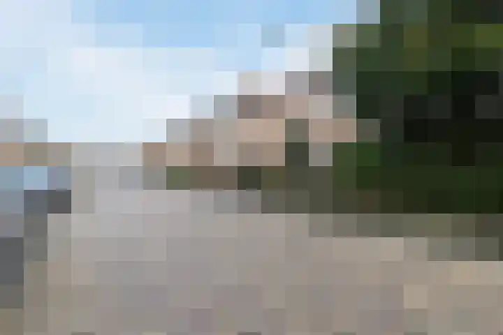 De Fazant 119 Hoogeveen thumbnail 46