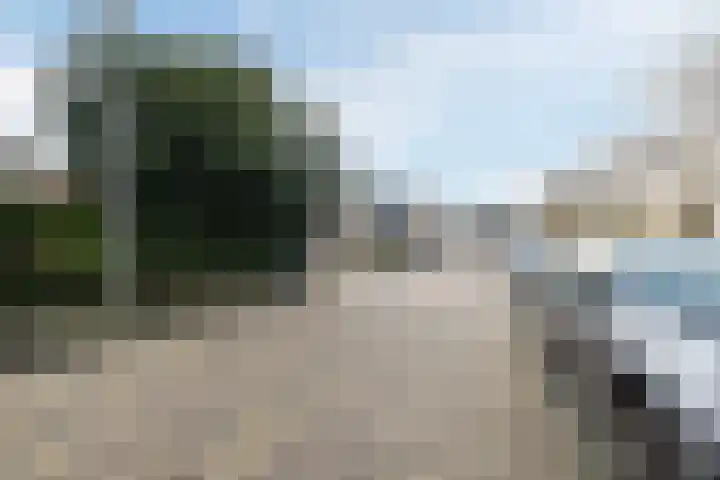 De Fazant 119 Hoogeveen thumbnail 47