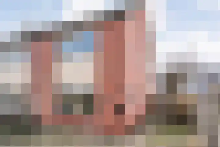 De Fazant 17 en Dedemsvaart