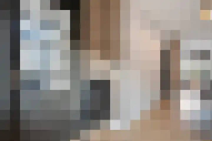 De Fazant 17 Dedemsvaart thumbnail 12