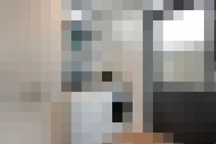 De Fazant 17 Dedemsvaart thumbnail 13
