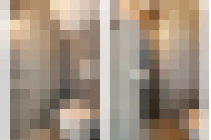 De Fazant 17 Dedemsvaart thumbnail 14