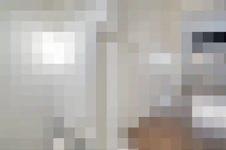 De Fazant 17 Dedemsvaart thumbnail 17