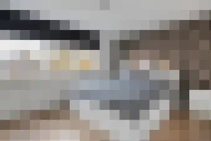 De Fazant 17 Dedemsvaart thumbnail 18