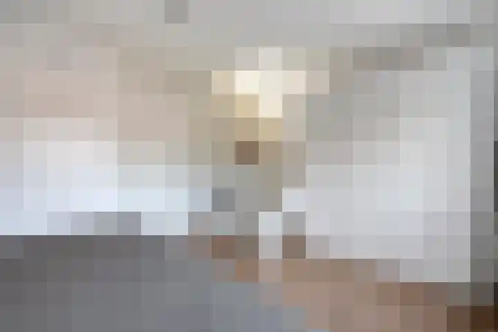 De Fazant 17 Dedemsvaart thumbnail 19