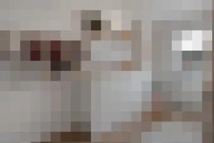 De Fazant 17 Dedemsvaart thumbnail 21