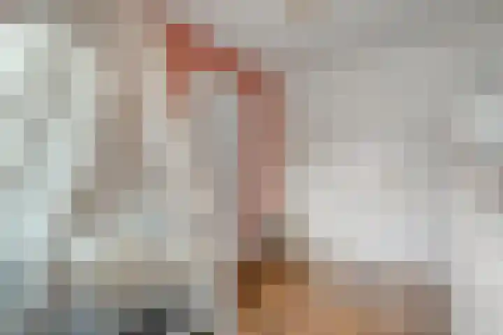 De Fazant 17 Dedemsvaart thumbnail 22