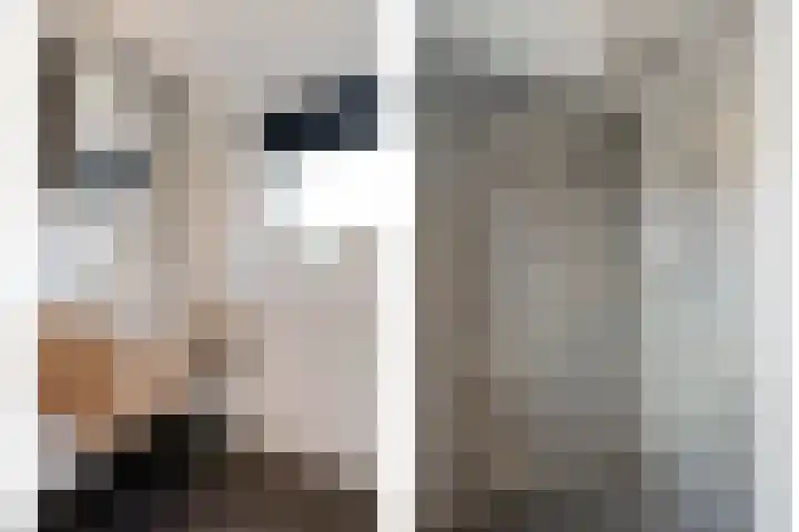 De Fazant 17 Dedemsvaart thumbnail 23