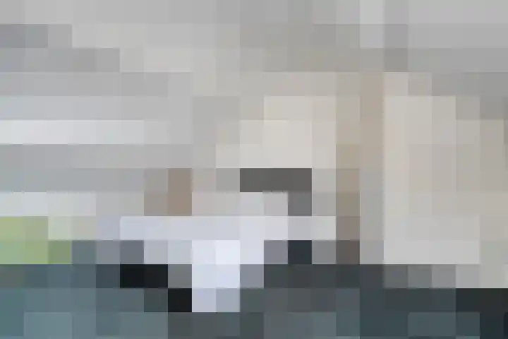 De Fazant 17 Dedemsvaart thumbnail 24