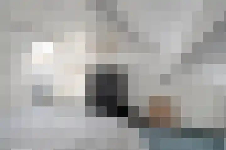 De Fazant 17 Dedemsvaart thumbnail 25