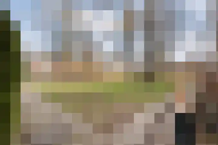 De Fazant 17 Dedemsvaart thumbnail 26