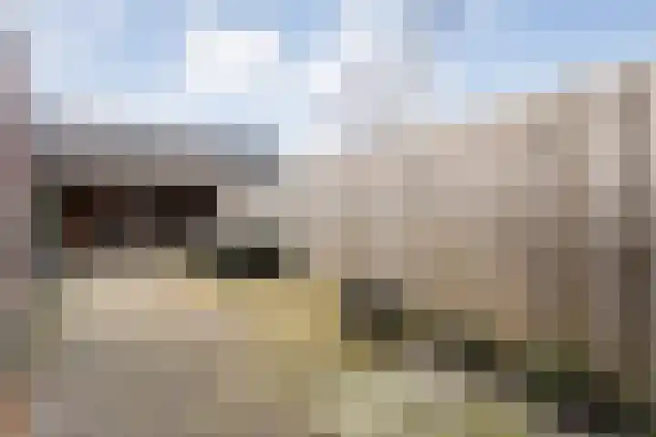 De Fazant 17 Dedemsvaart thumbnail 27